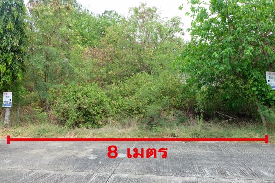 ขายที่ดินเปล่า-51-ตรวา-มออมไทย-อำเภอนครชัยศรี-จังหวัดนครปฐม