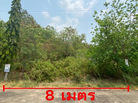 ขายที่ดินเปล่า-51-ตรวา-มออมไทย-อำเภอนครชัยศรี-จังหวัดนครปฐม