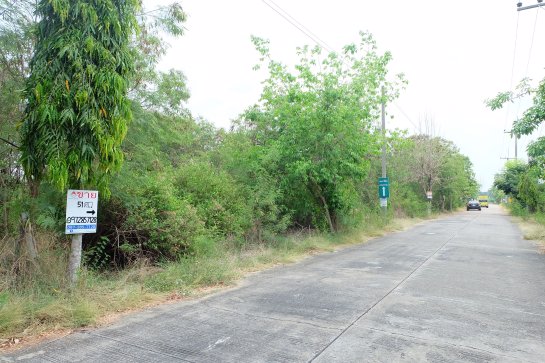 ขายที่ดินเปล่า-51-ตรวา-มออมไทย-อำเภอนครชัยศรี-จังหวัดนครปฐม
