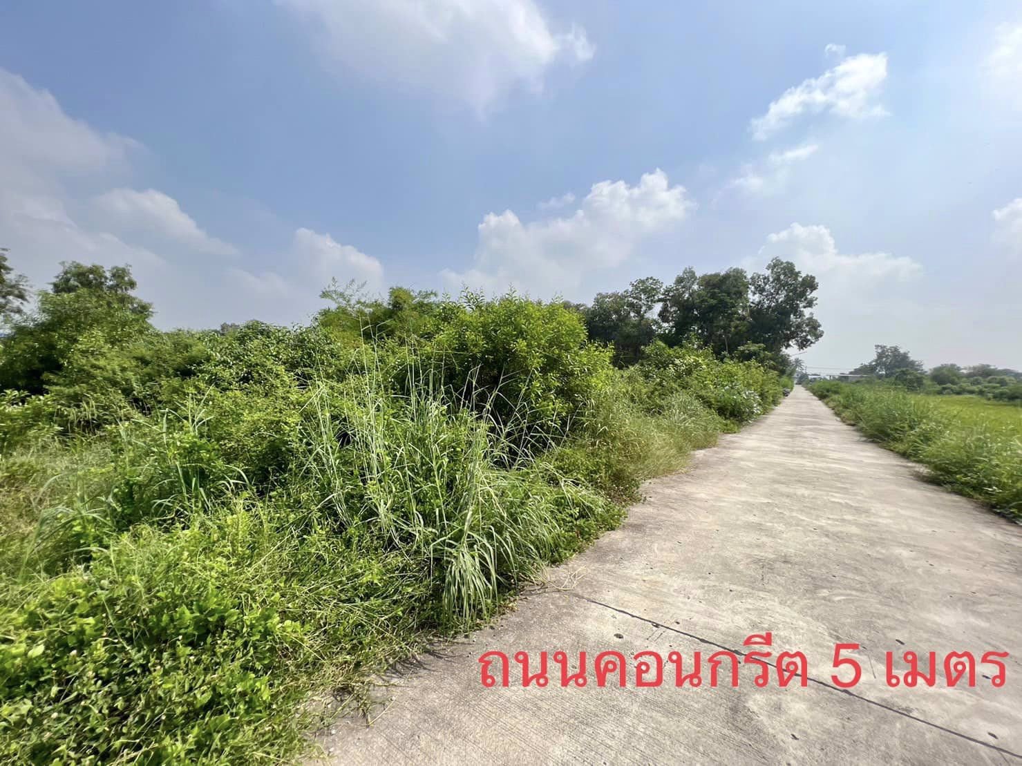 ขายที่ดิน-คลอง-3-คลองหลวง-1-ไร่-25-ล้าน