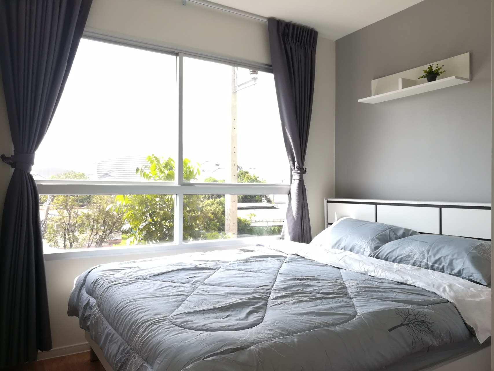 เจ้าของปล่อยเอง-ให้เช่า-ขาย-คอนโด-ติด-bts-แบริ่ง-สำโรง-ยินดีรับนายหน้า