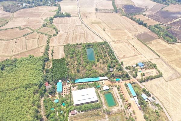 land-for-sale-ที่ดินสวยฉะเชิงเทรา-28-ล้านบาท-ไร่