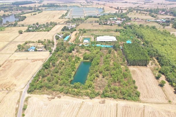 land-for-sale-ที่ดินสวยฉะเชิงเทรา-28-ล้านบาท-ไร่