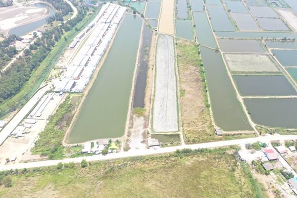 land-for-develop-ที่ดินรอพัฒนา-ใกล้ถนนใหญ่-บางนา-ตราด