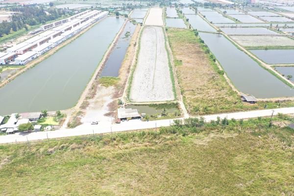 land-for-develop-ที่ดินรอพัฒนา-ใกล้ถนนใหญ่-บางนา-ตราด