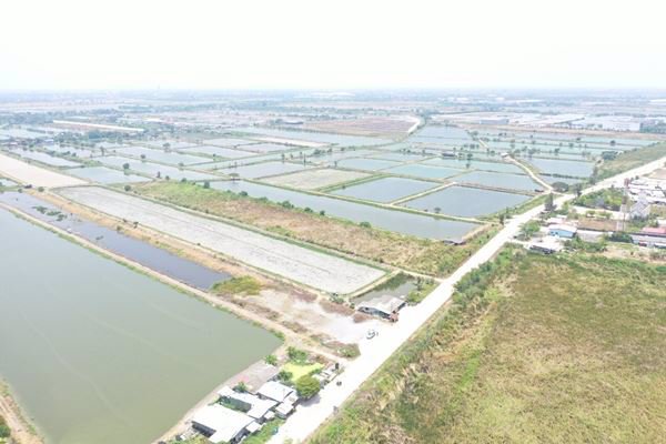 land-for-develop-ที่ดินรอพัฒนา-ใกล้ถนนใหญ่-บางนา-ตราด