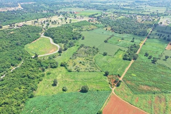 ที่ดินปากช่องวิวภูเขา-ปากช่อง-จนครราชสีมา-รายล้อมด้วยรีสอร์ทมากมาย