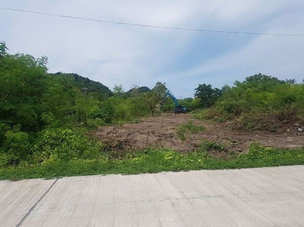 ที่ดินน่าจับจอง-เกาะพีพี-สัมผัสสวรรค์แห่งกระบี่-หาดงาม-ปะการังสวย-น้ำทะเลใส