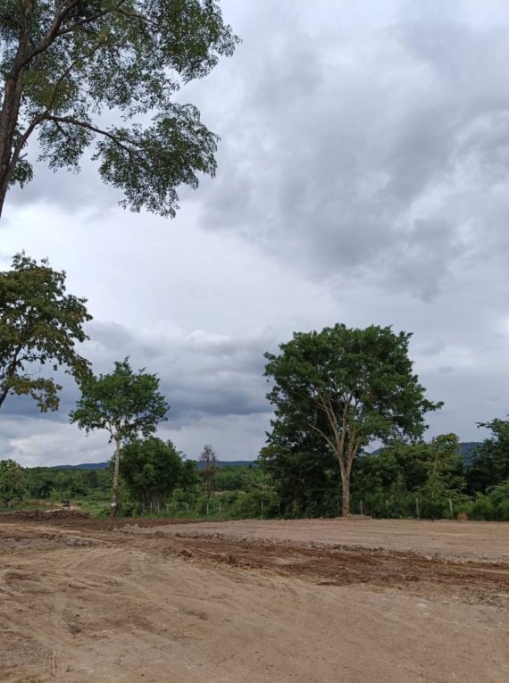 ขายที่ดิน21ไร่-ยกแปลง25ล้านบาท-ทางบ้านนาลาดควายไปดอนยาง