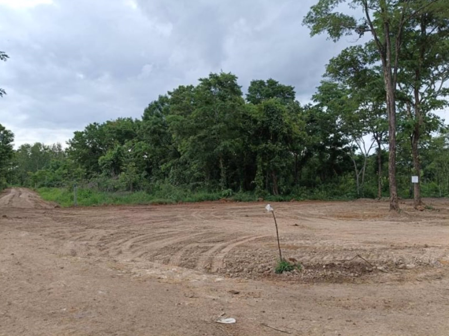 ขายที่ดิน21ไร่-ยกแปลง25ล้านบาท-ทางบ้านนาลาดควายไปดอนยาง