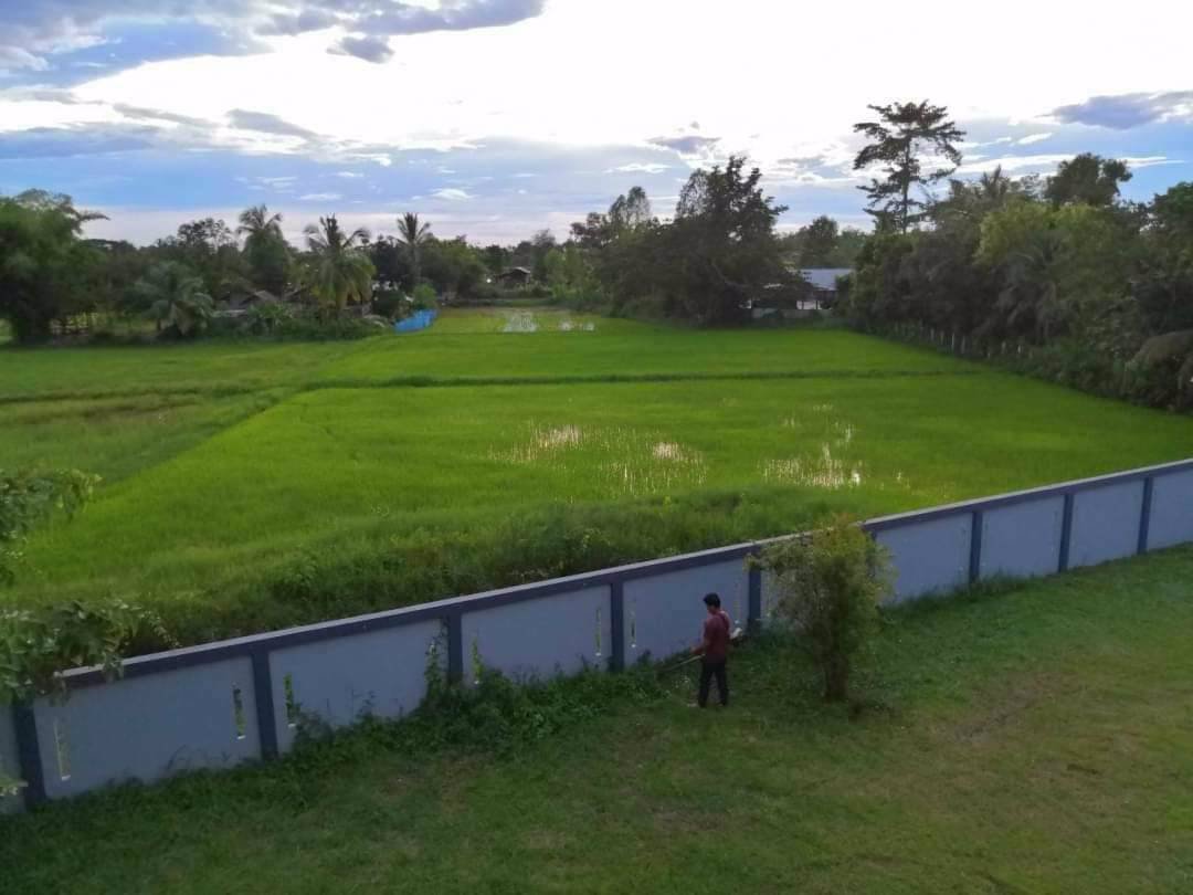 ขายบ้านหรู-600-ตรมพร้อมที่ดิน-พื้นที่-4ไร่-85-ตรว