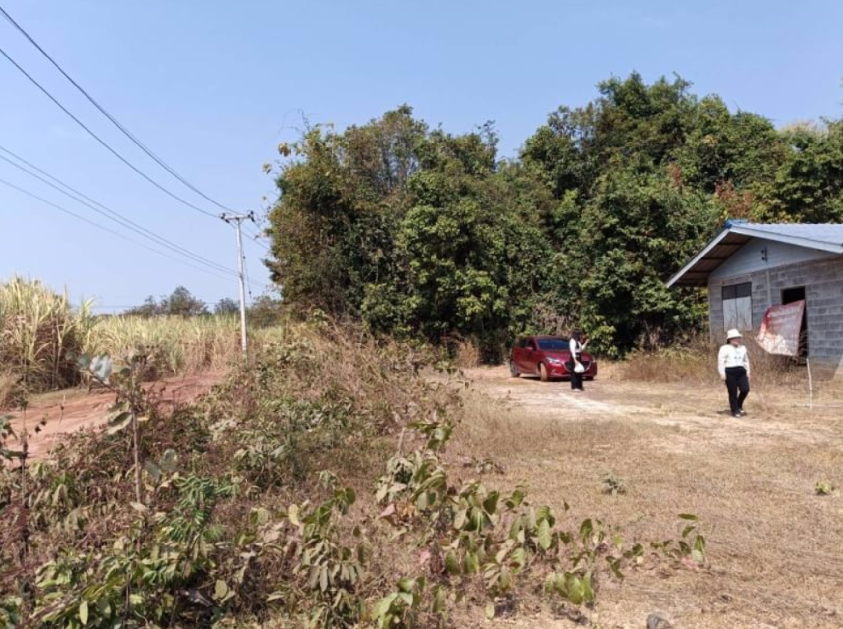 ขายที่ดินติดคาร์เฟ่ฟาร์ม-เนื้อที่-1ไร่-3-งาน