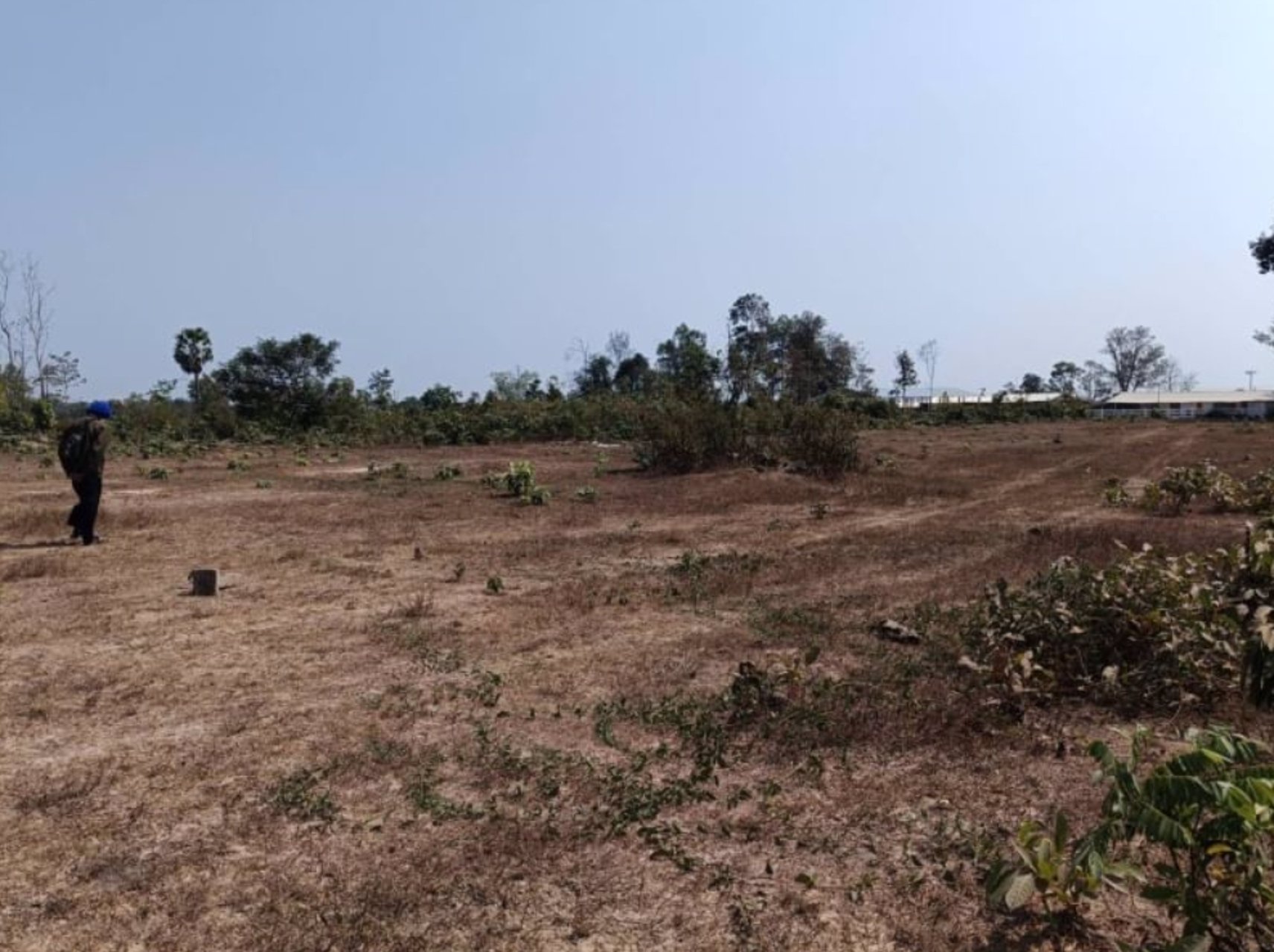 ขายที่ดินติดคาร์เฟ่ฟาร์ม-เนื้อที่-1ไร่-3-งาน