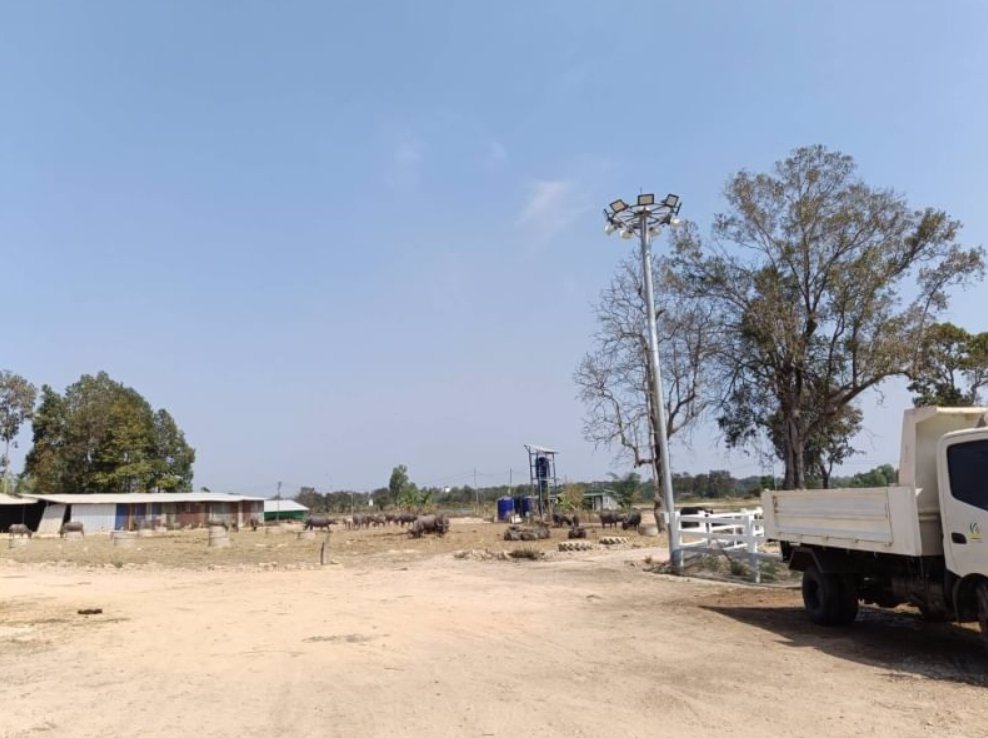 ขายที่ดินติดคาร์เฟ่ฟาร์ม-เนื้อที่-1ไร่-3-งาน