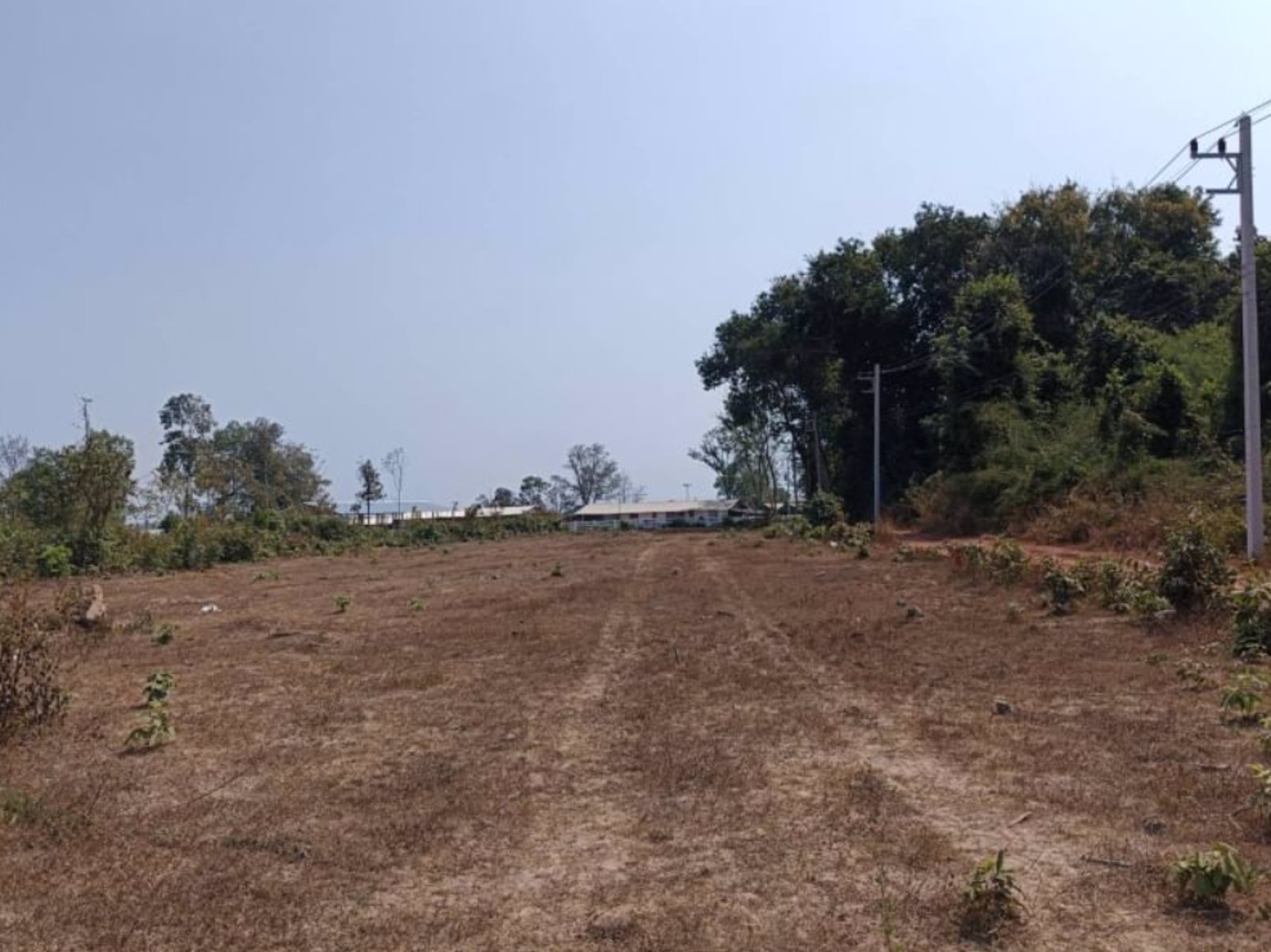 ขายที่ดินติดคาร์เฟ่ฟาร์ม-เนื้อที่-1ไร่-3-งาน