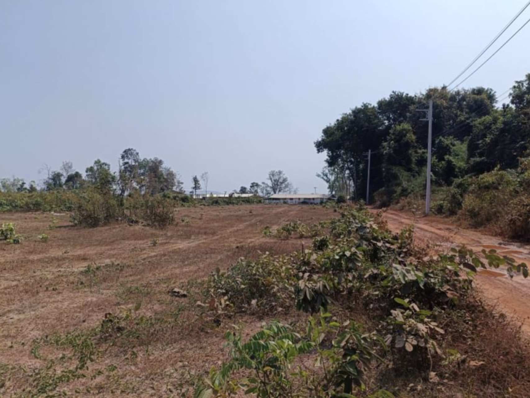 ขายที่ดินติดคาร์เฟ่ฟาร์ม-เนื้อที่-1ไร่-3-งาน