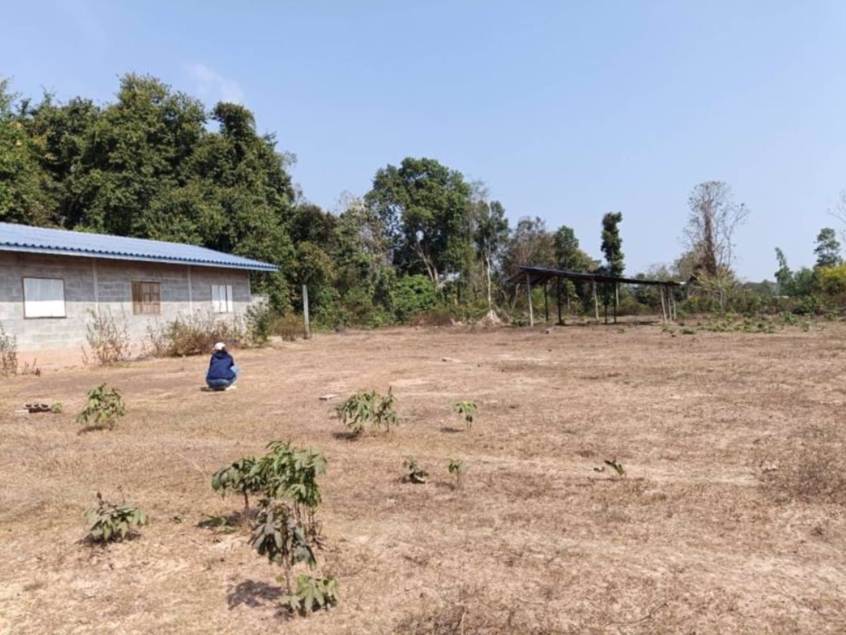 ขายที่ดินติดคาร์เฟ่ฟาร์ม-เนื้อที่-1ไร่-3-งาน