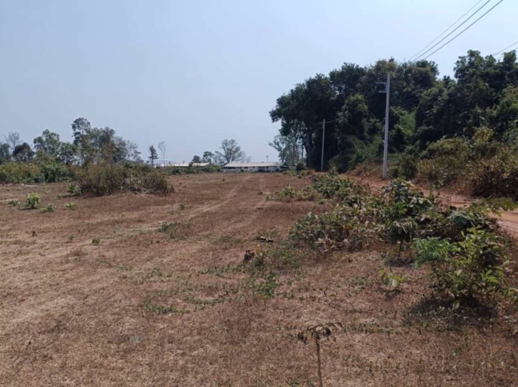 ขายที่ดินติดคาร์เฟ่ฟาร์ม-เนื้อที่-1ไร่-3-งาน