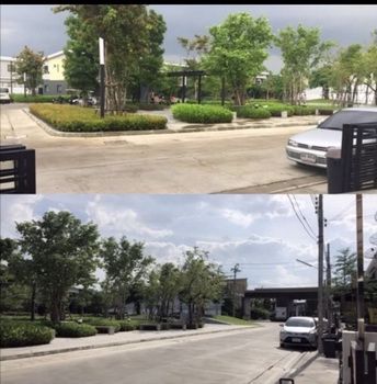 ให้เช่า-ทาวน์โฮม-สาริน-วิช-สุขุมวิท-107-พื้นที่-355-ตารางวา-250-ตารางเมตร