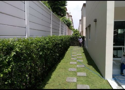 ให้เช่า-ทาวเฮ้าท์-2-ชั้น-31ตรว-บ้านกลางเมืองสวนหลวงร9