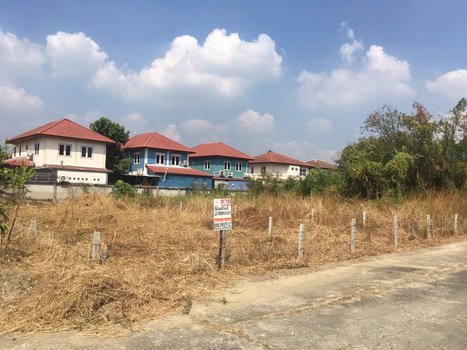 ขายที่ดินราชพฤกษ์-บางกรวย-นนทบุรี-เนื้อที่-208-ตารางวา-ราชพฤกษ์-สวนผัก