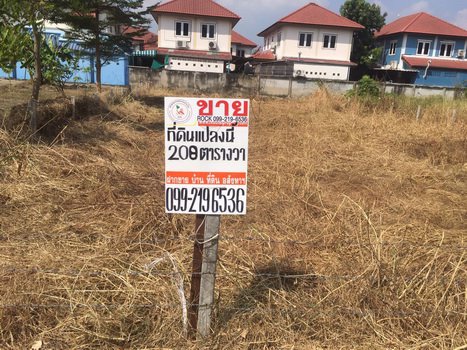 ขายที่ดินราชพฤกษ์-บางกรวย-นนทบุรี-เนื้อที่-208-ตารางวา-ราชพฤกษ์-สวนผัก