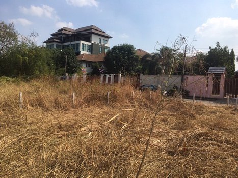 ขายที่ดินราชพฤกษ์-บางกรวย-นนทบุรี-เนื้อที่-208-ตารางวา-ราชพฤกษ์-สวนผัก