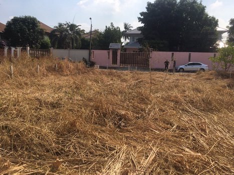 ขายที่ดินราชพฤกษ์-บางกรวย-นนทบุรี-เนื้อที่-208-ตารางวา-ราชพฤกษ์-สวนผัก