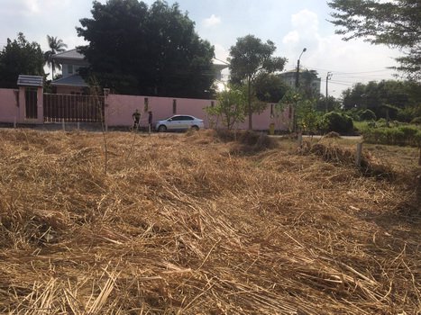 ขายที่ดินราชพฤกษ์-บางกรวย-นนทบุรี-เนื้อที่-208-ตารางวา-ราชพฤกษ์-สวนผัก