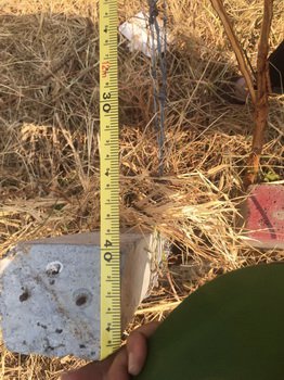 ขายที่ดินราชพฤกษ์-บางกรวย-นนทบุรี-เนื้อที่-208-ตารางวา-ราชพฤกษ์-สวนผัก