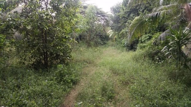 ขายที่ดิน-ตำบลสามกระทาย-อำเภอกุยบุรี-จประจวบคีรีขันธ์