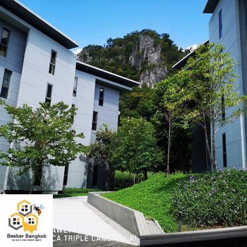 ขายคอนโด-23-degree-khaoyai-อปากช่อง-จนครราชสีมา