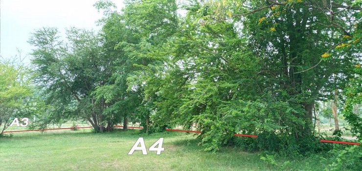 ที่ดินแบ่งแปลงย่อยขาย-ตำบลรางบัว-อำเภอจอมบึง-จราชบุรี