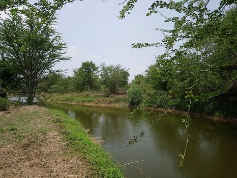 ที่ดินแบ่งแปลงย่อยขาย-ตำบลรางบัว-อำเภอจอมบึง-จราชบุรี