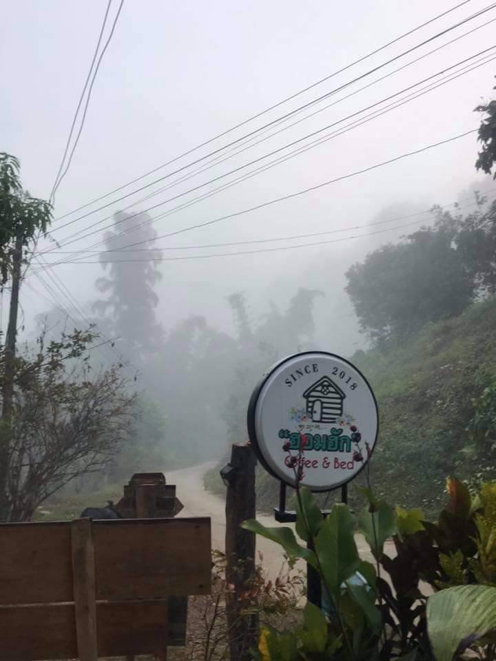 ขาย-ให้เช่า-กิจการบ้านพักโฮมสเตย์-พื้นที่ทั้งหมด-3-งาน-16-ตรว