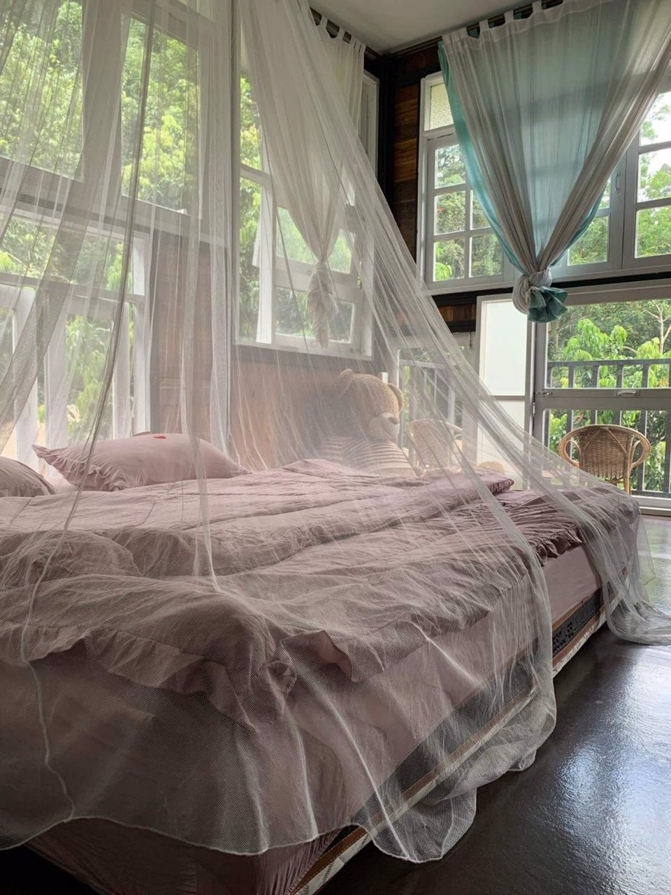 ขาย-ให้เช่า-กิจการบ้านพักโฮมสเตย์-พื้นที่ทั้งหมด-3-งาน-16-ตรว