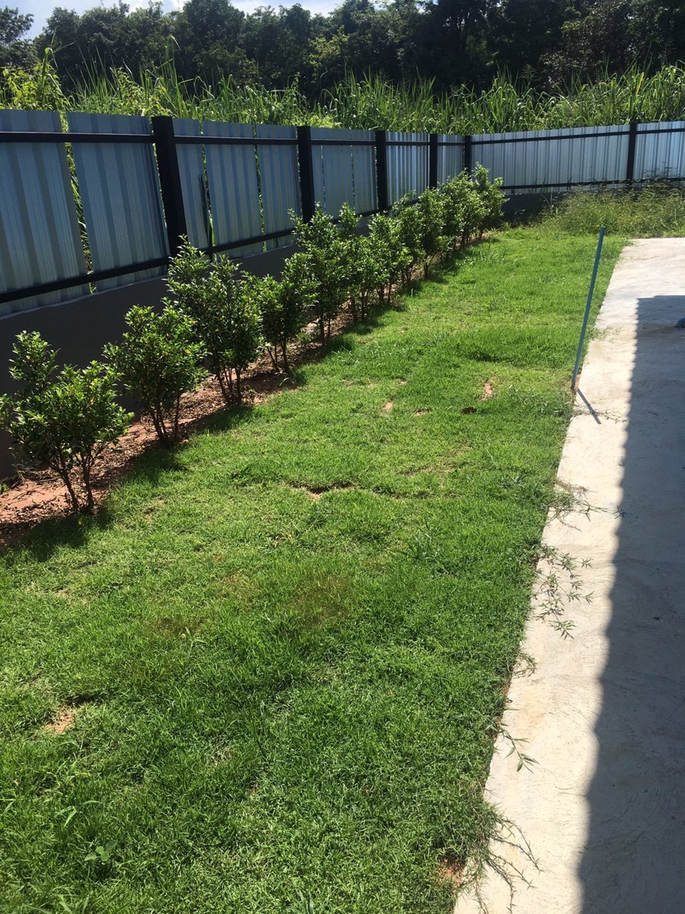 ขายบ้านใหม่-บ้านเดี่ยวชั้นเดียว-ราคาถูก-พื้นที่-80-ตรว