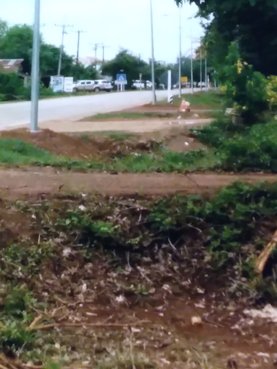 ขายที่ดิน-2-ไร่-1-งาน-4-ตารางวา-หน้ากว้าง-40-เมตร-ยาว-95-เมตร-พรรณานิคม-สกลนคร