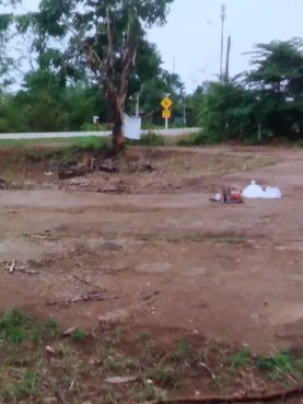 ขายที่ดิน-2-ไร่-1-งาน-4-ตารางวา-หน้ากว้าง-40-เมตร-ยาว-95-เมตร-พรรณานิคม-สกลนคร