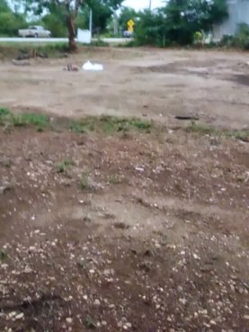 ขายที่ดิน-2-ไร่-1-งาน-4-ตารางวา-หน้ากว้าง-40-เมตร-ยาว-95-เมตร-พรรณานิคม-สกลนคร