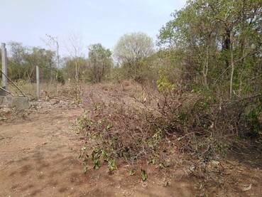 ขายที่ดิน-2-ไร่-1-งาน-4-ตารางวา-หน้ากว้าง-40-เมตร-ยาว-95-เมตร-พรรณานิคม-สกลนคร