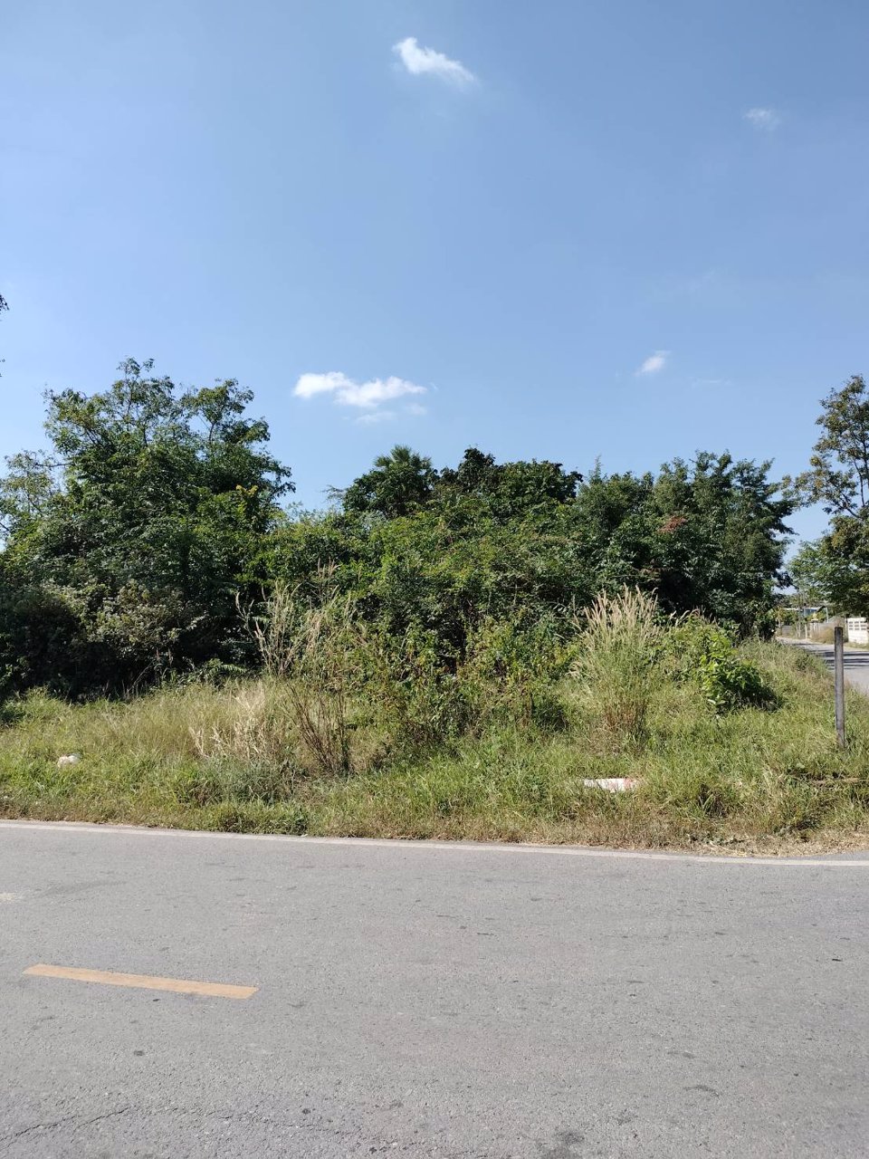 ขายที่เปล่าเนื้อที่-100-ตรวา-ใจกลางเมืองโคราช-ใกล้สนามบิน