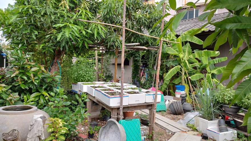 ขายที่ดินเปล่า-พระราม2-ซอยบางกระดี่1-เดินทางสะดวก-ทางลัดไปทางด่วนและถนนกาญจนาภิเษก