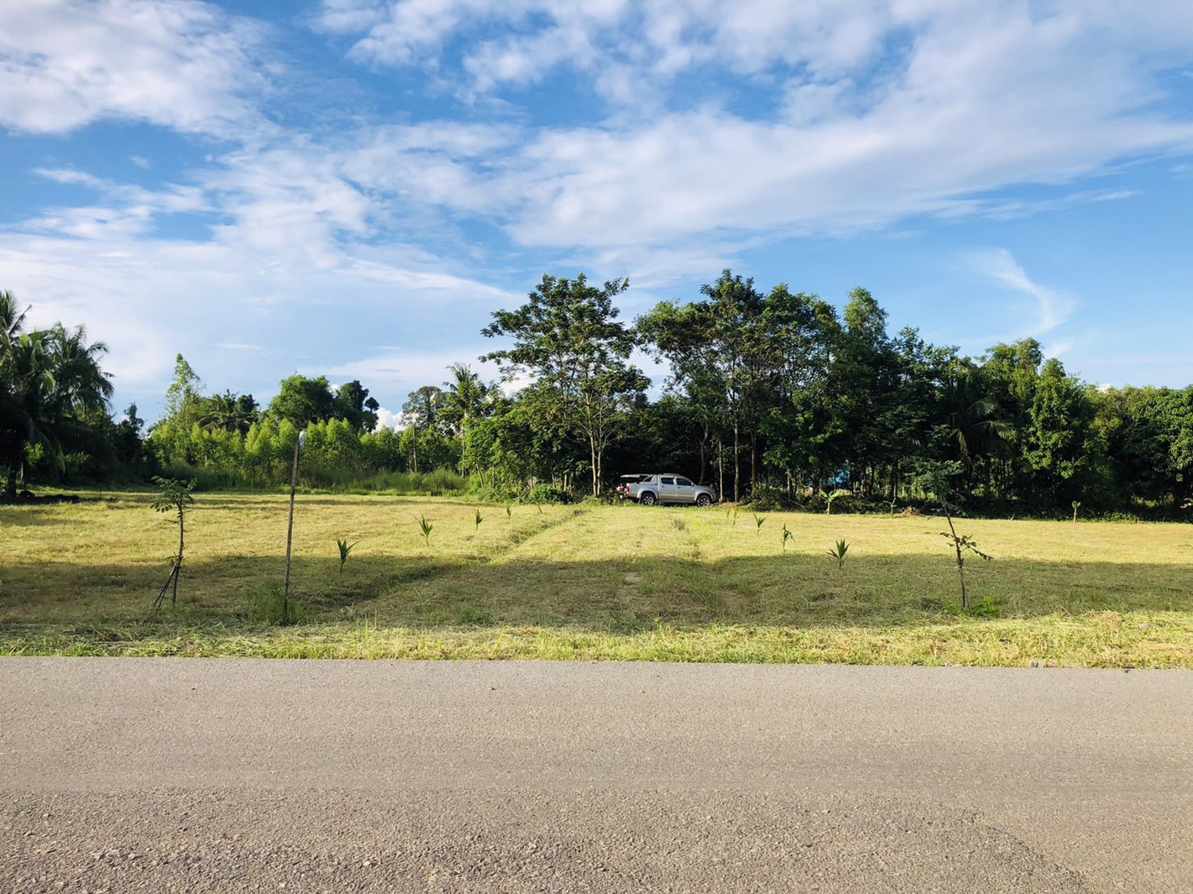 ตัดใจแบ่งขายที่ดิน-3-แปลง-เหมาะปลูกบ้าน-แปลงล่ะ-1-ไร่-โฉนดครุฑแดง