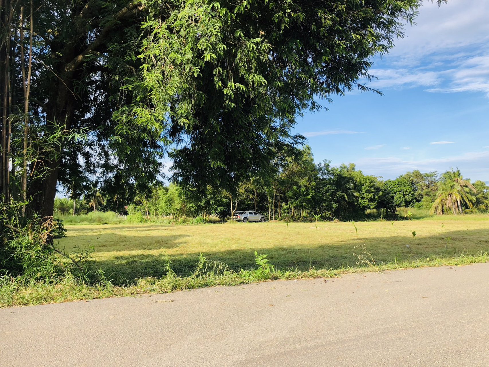 ตัดใจแบ่งขายที่ดิน-3-แปลง-เหมาะปลูกบ้าน-แปลงล่ะ-1-ไร่-โฉนดครุฑแดง