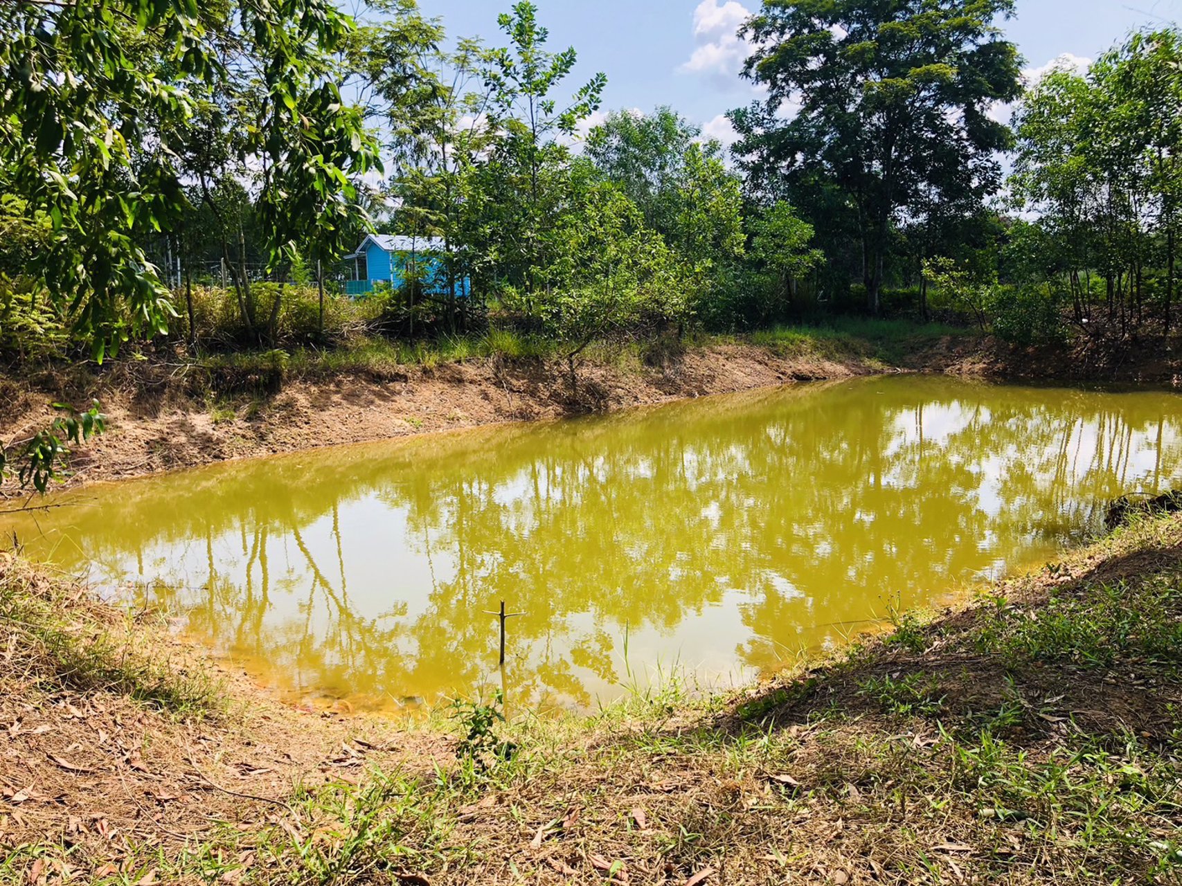 ตัดใจแบ่งขายที่ดิน-3-แปลง-เหมาะปลูกบ้าน-แปลงล่ะ-1-ไร่-โฉนดครุฑแดง