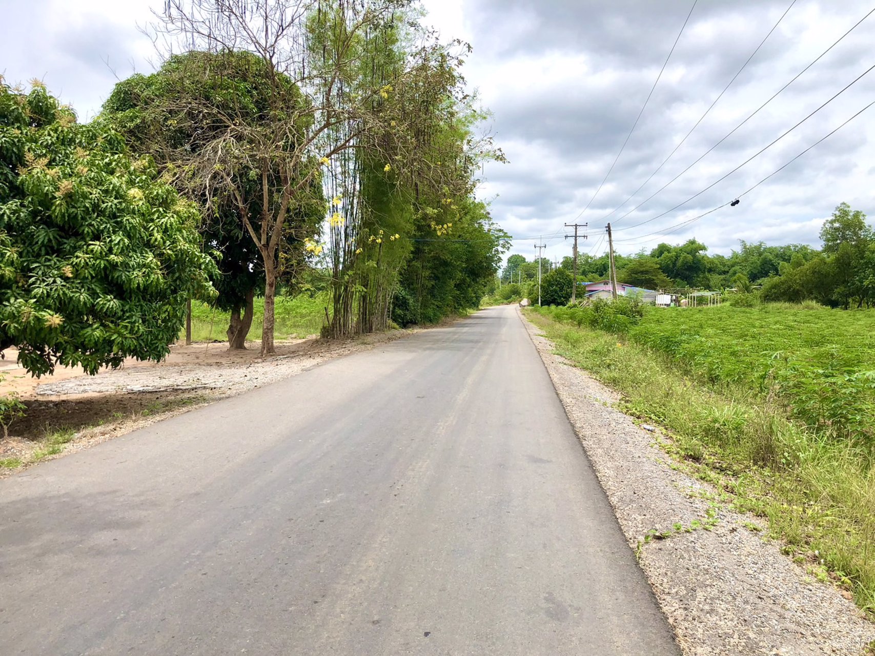 ตัดใจแบ่งขายที่ดิน-3-แปลง-เหมาะปลูกบ้าน-แปลงล่ะ-1-ไร่-โฉนดครุฑแดง