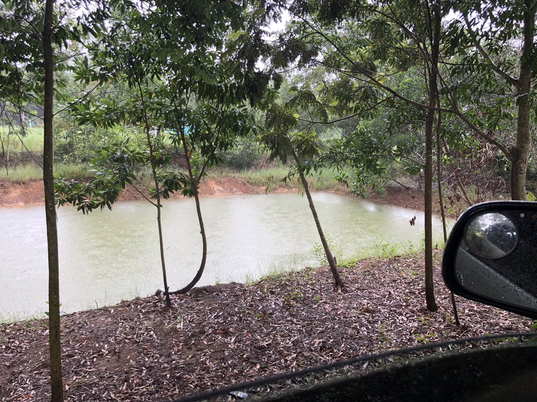 ตัดใจแบ่งขายที่ดิน-3-แปลง-เหมาะปลูกบ้าน-แปลงล่ะ-1-ไร่-โฉนดครุฑแดง