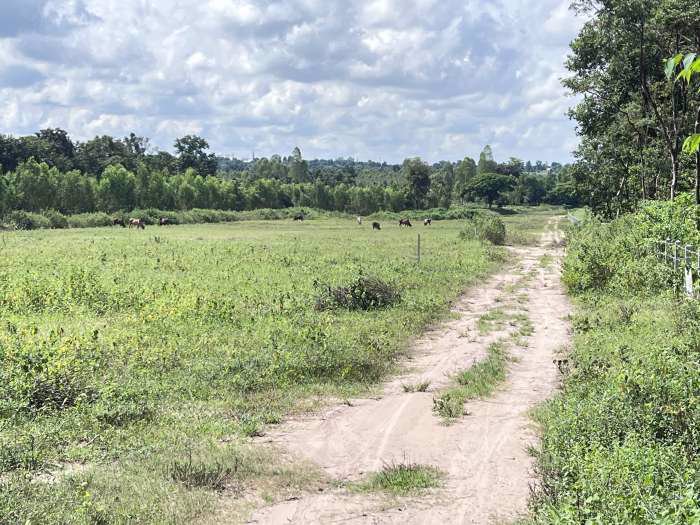 ที่ดินแบ่งขายอำเภอเมืองกาฬสินธุ์