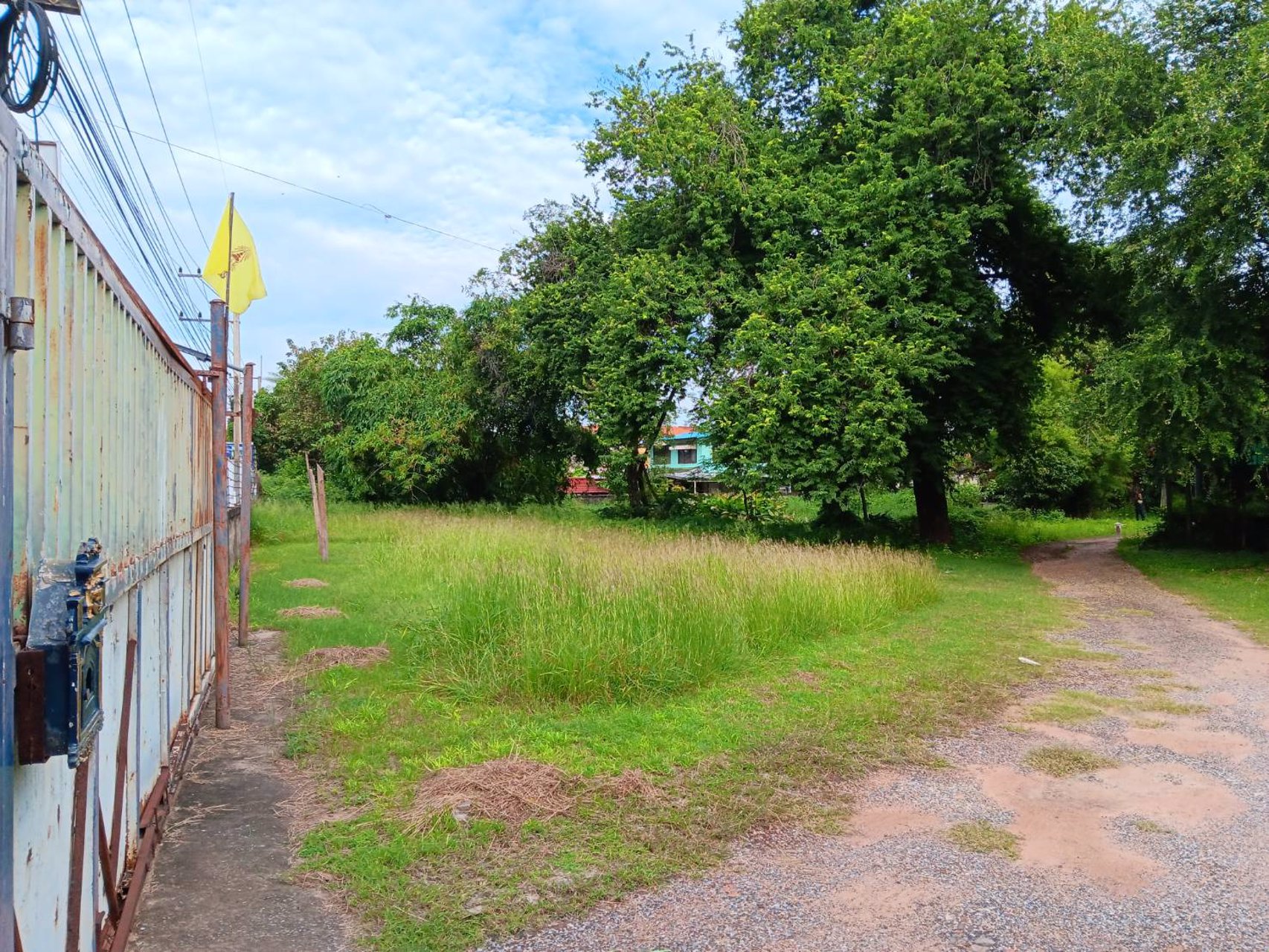 ขายที่ดินสวยๆ-แหล่งทำเลทอง-พื้นที่โซนสีชมพู-เป็นรูปสี่เหลี่ยมผืนผ้า